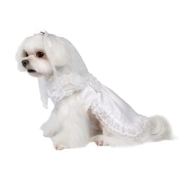 vera wedding dog dress