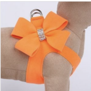 Electric Orange Nouveau Bow Step in Harness Size XSmall