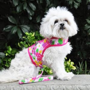 Pink Hawaiian Dog Harness by doggie design