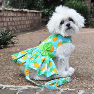 Pineapple Luau Dog Dress