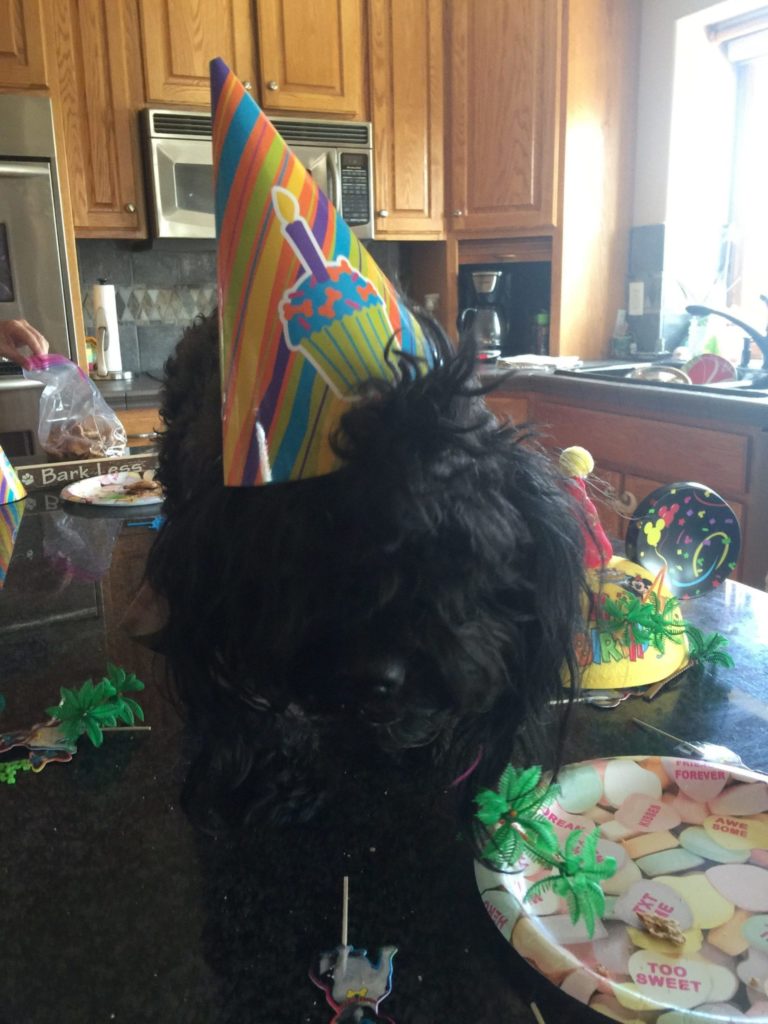 Louie's Birthday