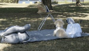 picnic mat by louisdog