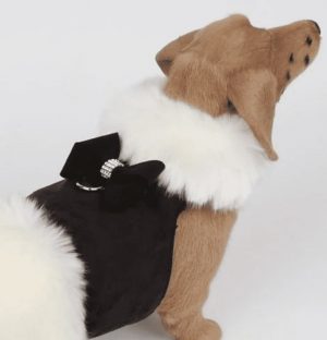 fur coat with fox fur