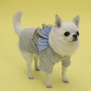 flutter dog shirt in gray