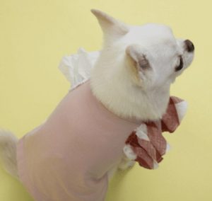 flutter sleeveless dog shirt in heavenly pink