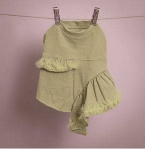 Vera Dog Dress in Lime
