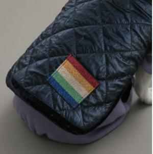 Velvety Rainbow Dog Vest