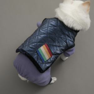 Velvety Rainbow Dog Vest