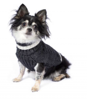 varsity cable dog sweater