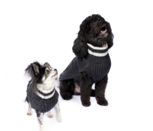 varsity cable dog sweater