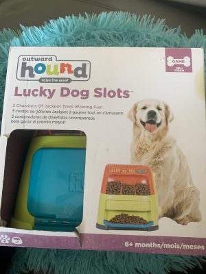 clearance lucky dog slots