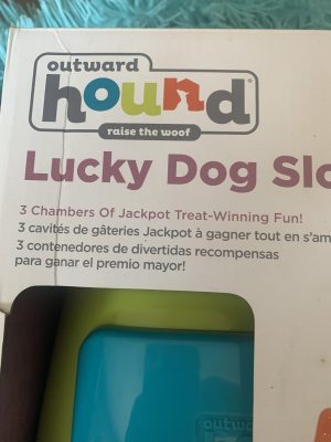 clearance lucky dog slots