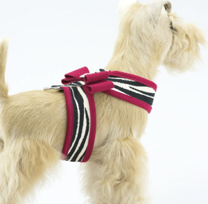 two tone big bow tinkie dog harness