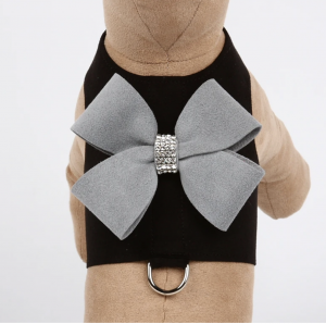 nouveau bow bailey dog harness