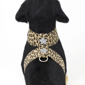 Rock Star Jungle Print Tinkie Dog Harness