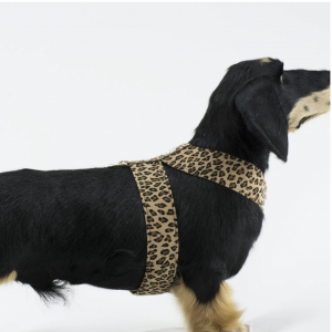 Rock Star Jungle Print Tinkie Dog Harness