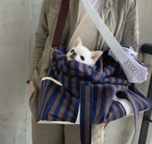 Smoothie 5 Styles Dog Carrier