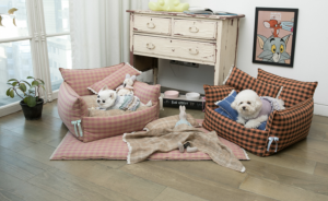saturday sofa for dogs