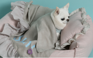 pajamas dog pillow