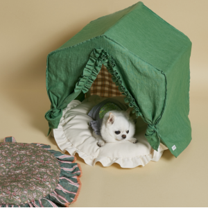 greeny peekaboo dog bed