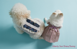 liberty sun dress for dogs