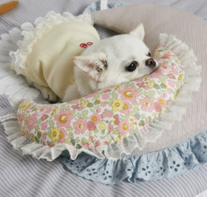 summer moon dog pillow