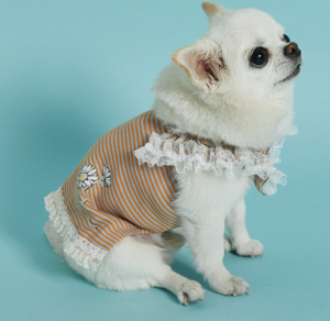 Girl's Tiny Tattoo Dog Dress