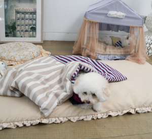 flat white oblique dog rug