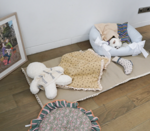 flat white oblique dog rug
