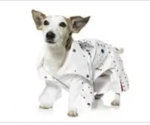 clearance rock star elvis dog costume