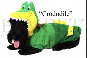 clearance crocodile dog costume