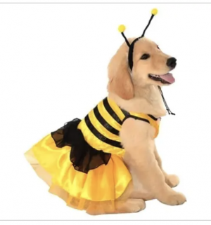 bumblebee dress costume for dogs
