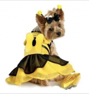 Bumble Bee Fairy Dog Costume Dress