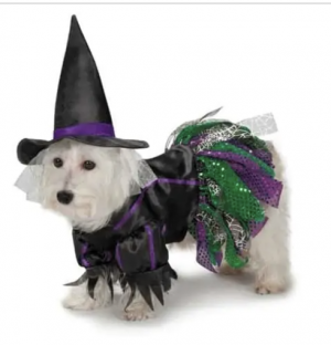 clearance scary witch costume