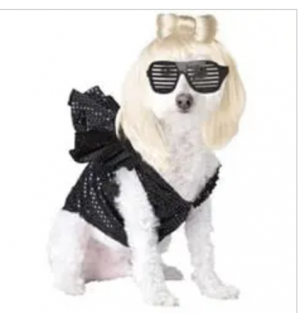 clearance pop sensation dog costume