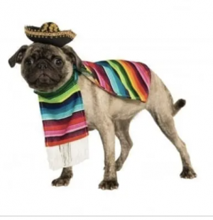 clearance mexican dog costume