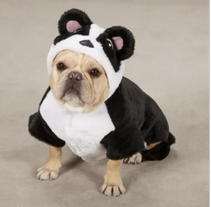 clearance panda pup costume for dogs