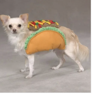 clearance taco dog costume