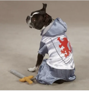 clearance knight dog costume