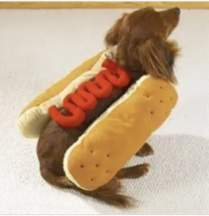 clearance hot dog costume for dogs