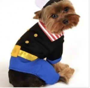 clearance sailorman dog costume