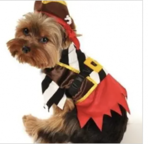 clearance rustic pirate dog costume