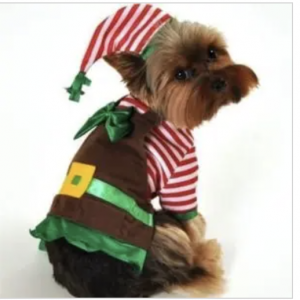 clearance workshop elf dog costume