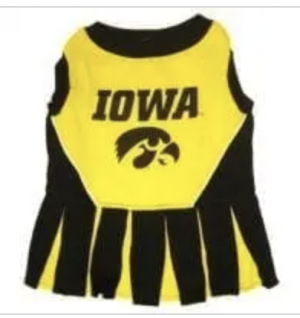 Clearance Iowa Cheerleader Dress for Dogs