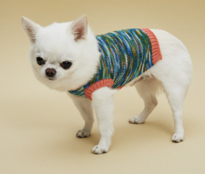 genius dog sweater vest