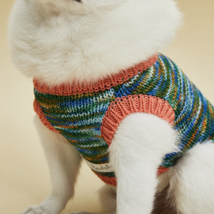 genius dog sweater vest