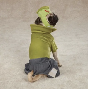 clearance frankenhound dog costume