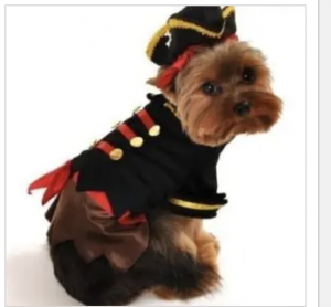 clearance buccaneer pirate dog costume