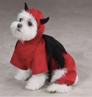 clearance devil dog costume