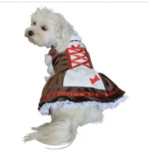 clearance beer girl dog costume